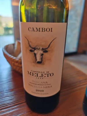 Ottima esperienza al Castello di Meleto