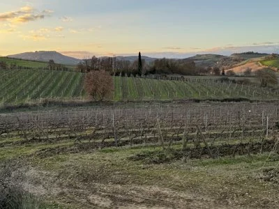 Il nostro primo Wine tour