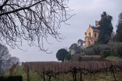 Castello Bonomi top!