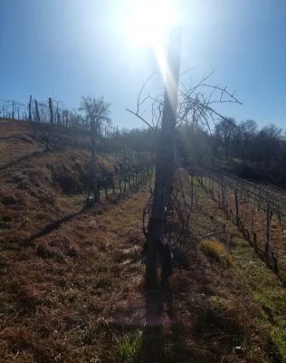 Tra passato, presente e futuro