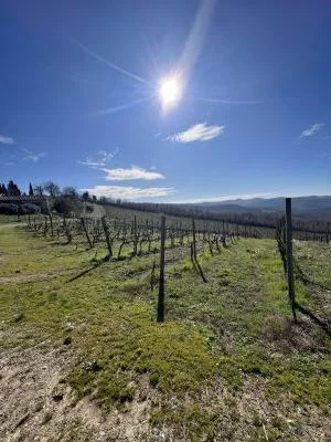Nel cuore del Chianti