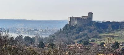 Molto professionali