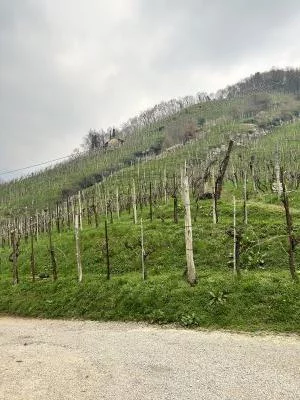 Bellissima esperienza!