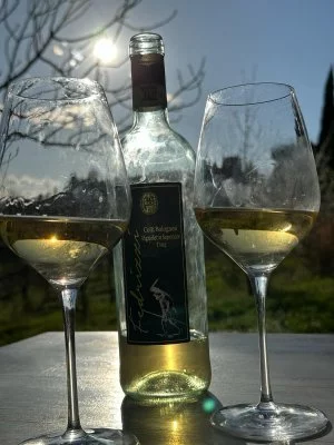 Degustazione vini assolutamente consigliata