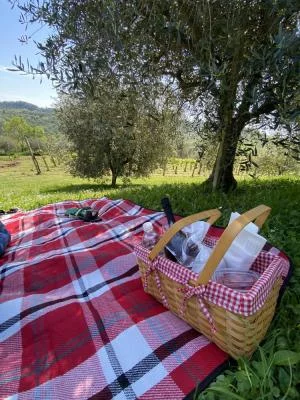 Pic-nic di qualità