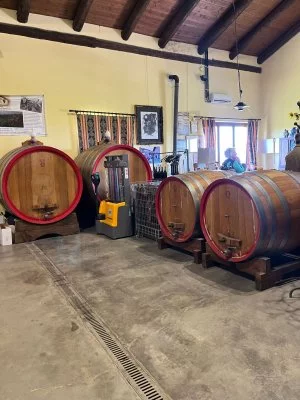 Visita e degustazione di vini