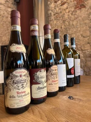 La mia prima esperienza in cantina