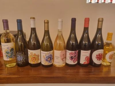 Vino, Cibo e Servizio Ottimi