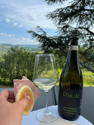 Degustazione tra i colli