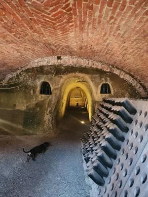 Un tour davvero ottimo!!!