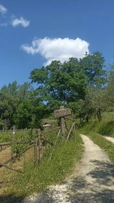 Inebriate dalla natura