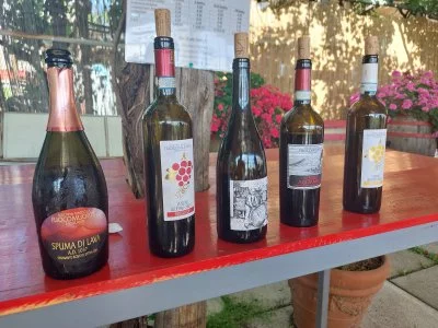 Esperienza fantastica!