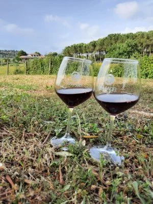 Merenda in vigna