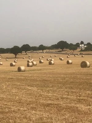 Bellissima giornata a Torricella