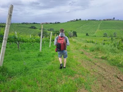 Pic nic gustoso tra i vigneti!