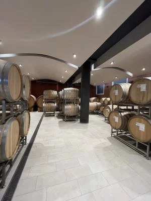 Cantina giovane e dinamica