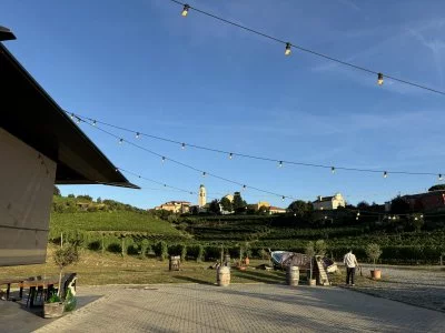Una bellissima esperienza enologica locale!