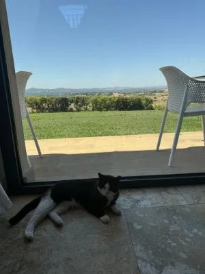 Vino delizioso! Panorama magnifico!