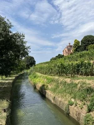 Esperienza fantastica e ottimo rapporto qualità-prezzo!