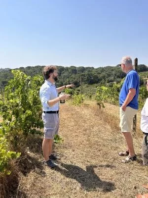 Degustazione di vino straordinaria al Castello di Selvole