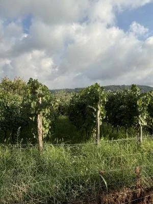 Esperienza molto bella