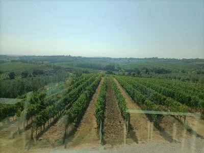 Ottimo