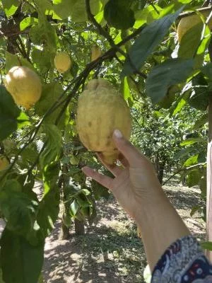 Visita e degustazione eccellente