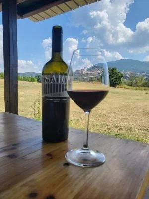 Pic nic e degustazione con vista
