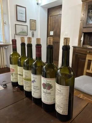 Esperienza da ripetere!