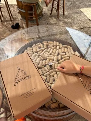 Cantina incantevole