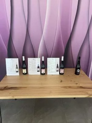 Ottima degustazione di vini