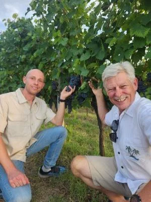 Ottimi vini in una piccola cantina