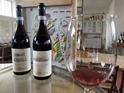 Una bellissima esperienza immersi nei vigneti