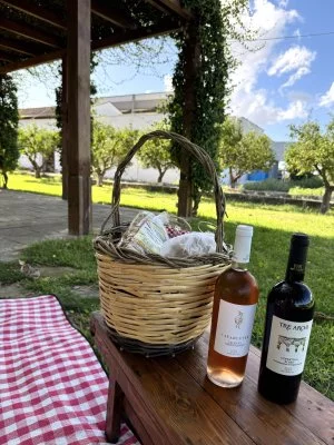 Great and romantic picnic with good wines.