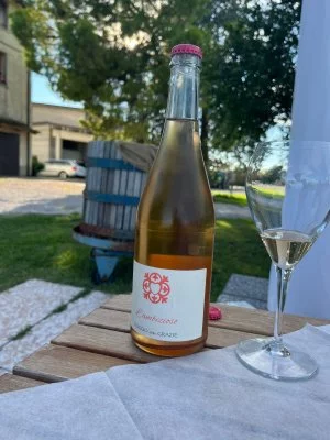 Vin et compagnie