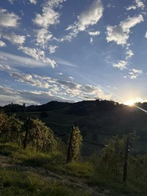 Meraviglioso