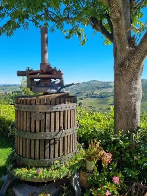 Un piccolo gioiello tra le colline delle Langhe