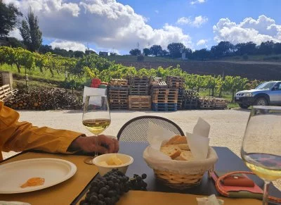 Degustazione di vini