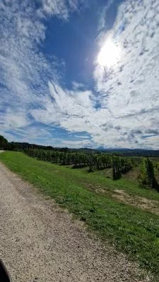 Esperienza bellissima