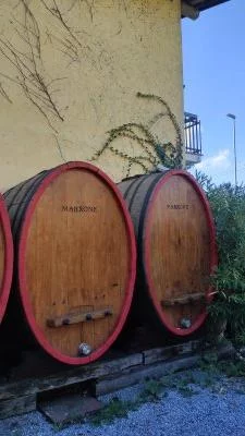 Ottima esperienza nelle Langhe
