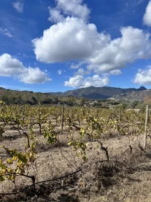 Una splendida giornata fuori porta