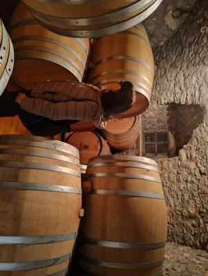 Visita Tenuta Dondi