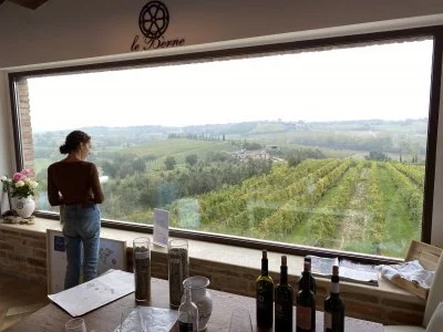 Consigliatissimo! Tour e degustazione in una cantina a conduzione familiare in una location pittoresca.