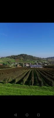 Degustazione eccellente