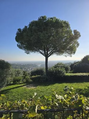 Giornata perfetta