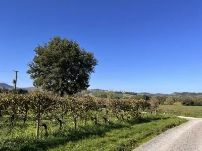 Sette generazioni di passione, e si sente