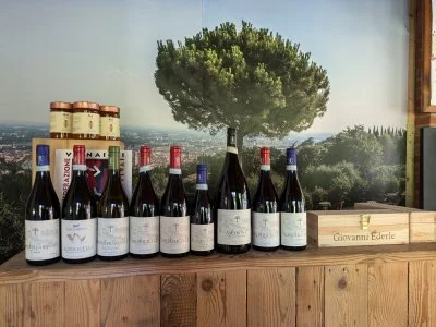 Ottimo vino, buon cibo, gentilezza e simpatia, vista su Verona.
