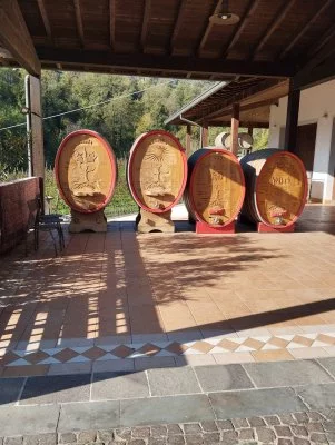Bella esperienza Cantine Tallarini