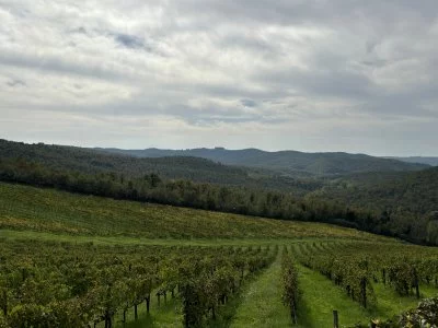Degustazione di vini a Meleto