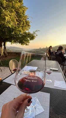 Valpolicella a Novembre